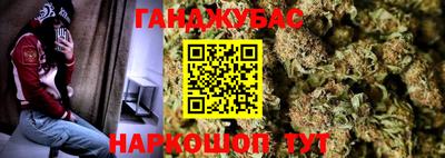 стаф Новодвинск