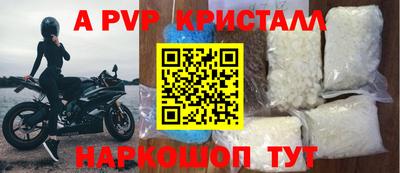 стаф Новодвинск