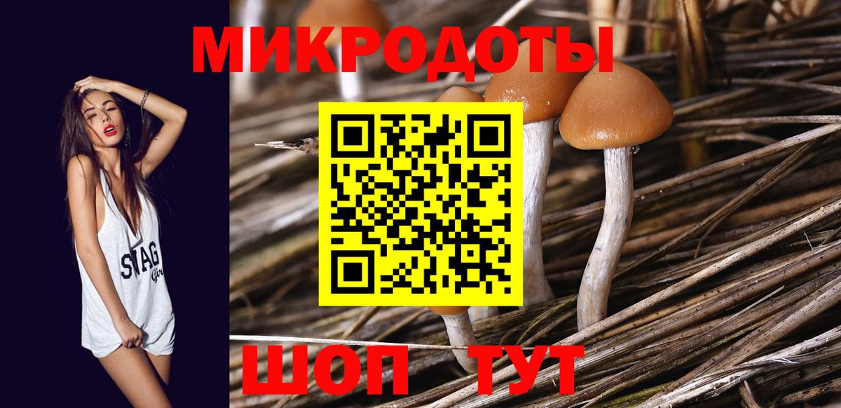Галлюциногенные грибы Magic Shrooms  Вход с VPN  Шали 